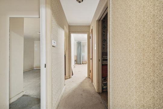 HD_1760632378115_20_IMG_6384