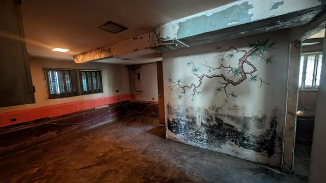 PXL_20251003_161824579