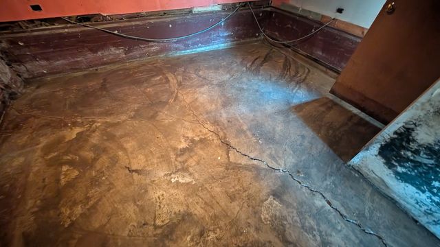 PXL_20251003_161832456