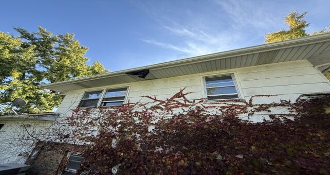 Photo Oct 24 2025, 1 34 15 PM