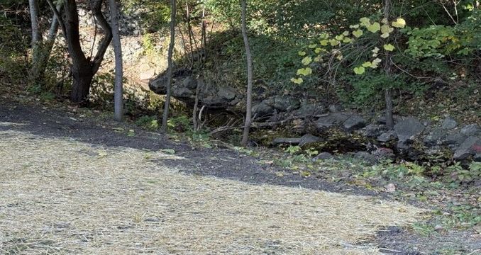 Photo Oct 31 2025, 9 56 25 AM