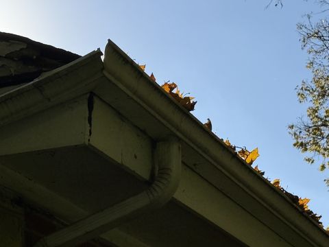 Photo Nov 05 2025, 1 37 09 PM