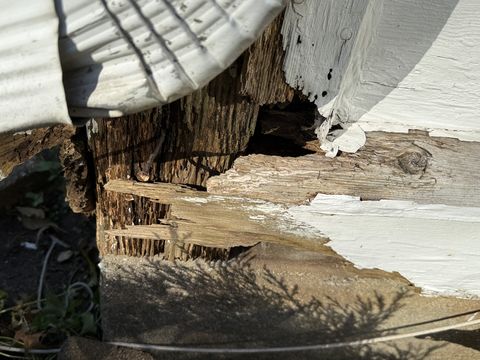 Photo Nov 05 2025, 1 38 14 PM