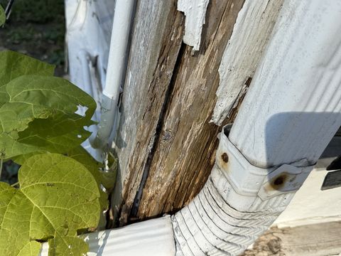 Photo Nov 05 2025, 1 38 16 PM