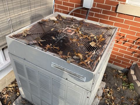 Photo Nov 05 2025, 1 38 20 PM