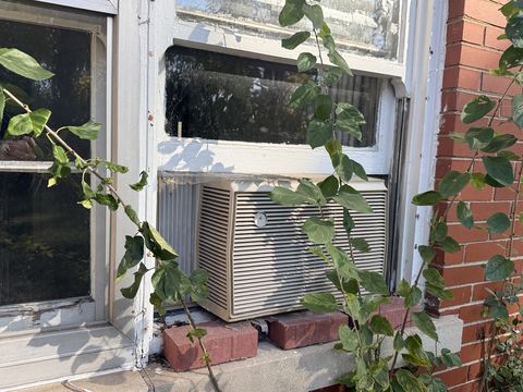 Photo Nov 05 2025, 1 38 22 PM