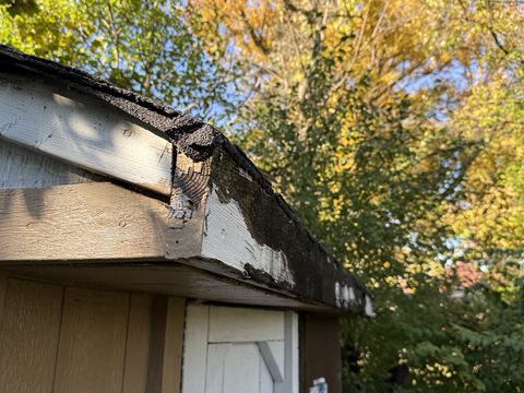 Photo Nov 05 2025, 1 39 12 PM