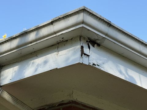 Photo Nov 05 2025, 1 39 55 PM