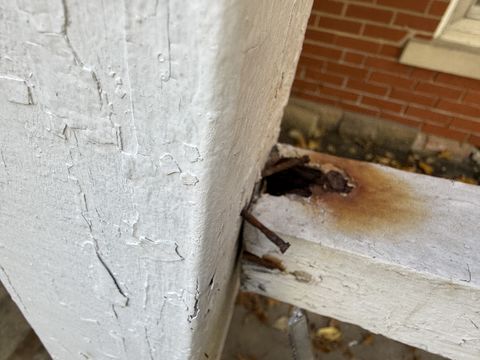 Photo Nov 05 2025, 1 40 48 PM