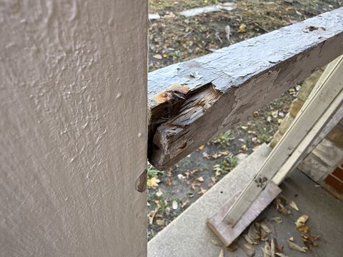 Photo Nov 05 2025, 1 40 54 PM