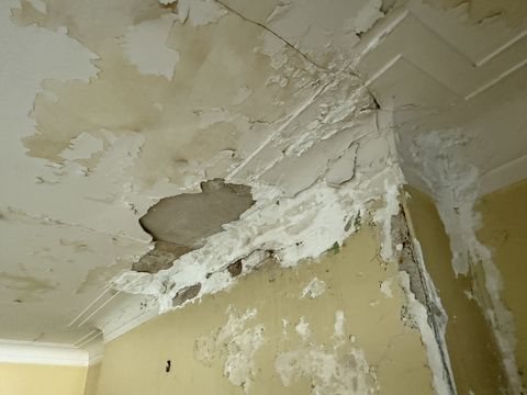 Photo Nov 05 2025, 1 41 28 PM