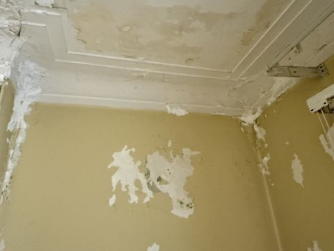 Photo Nov 05 2025, 1 41 34 PM