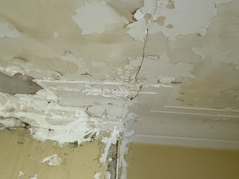 Photo Nov 05 2025, 1 41 37 PM