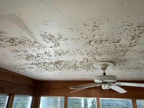 Photo Nov 05 2025, 1 42 09 PM