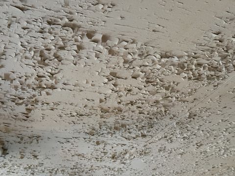 Photo Nov 05 2025, 1 42 12 PM