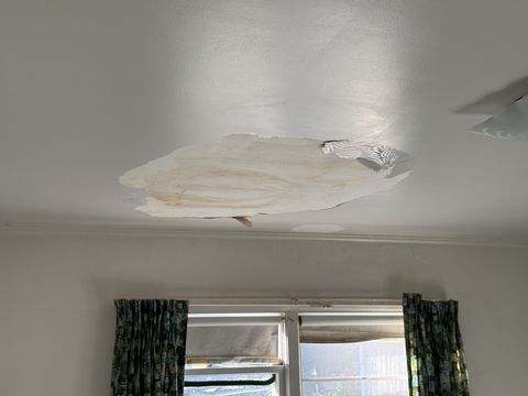 Photo Nov 05 2025, 1 42 30 PM