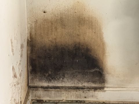 Photo Nov 05 2025, 1 42 33 PM