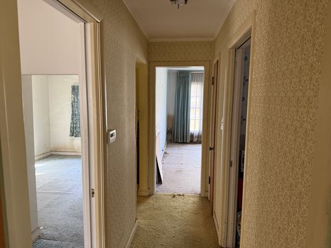 Photo Nov 05 2025, 1 43 12 PM