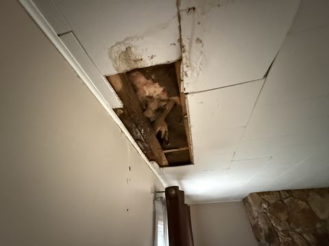 Photo Nov 18 2025, 1 09 37 PM