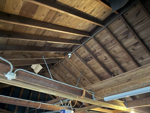 Photo Nov 18 2025, 12 58 02 PM