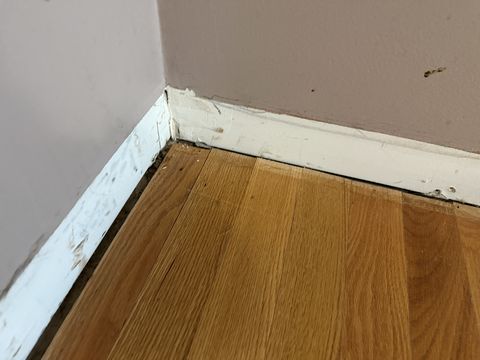 Photo Nov 26 2025, 12 34 11 PM