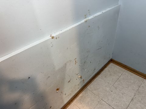 Photo Nov 26 2025, 12 38 20 PM