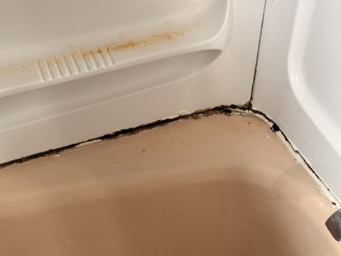 Photo Dec 11 2025, 11 07 05 AM