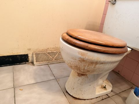 Photo Dec 11 2025, 11 09 47 AM