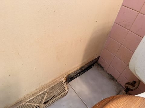 Photo Dec 11 2025, 11 09 50 AM