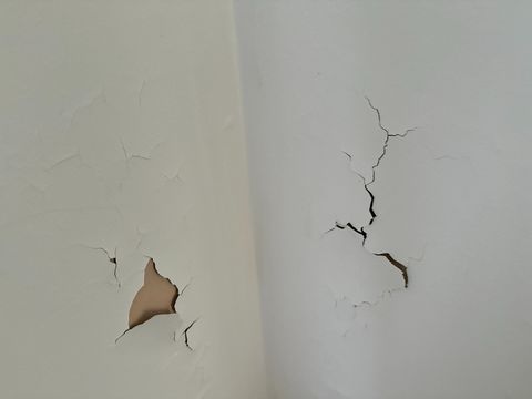 Photo Dec 12 2025, 2 28 49 PM