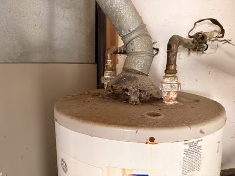 Photo Dec 17 2025, 10 33 19 AM