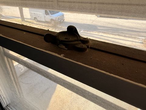 Photo Dec 19 2025, 9 33 58 AM