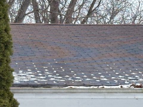 Photo Dec 31 2025, 1 20 59 PM