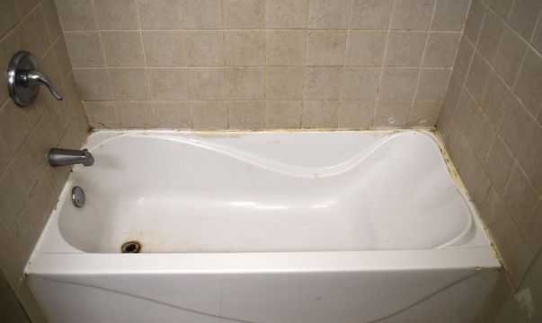 HD_1762288889718_DSC_9330