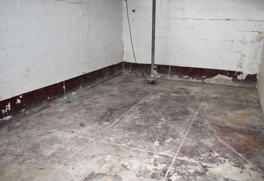 HD_1762289179158_DSC_9313