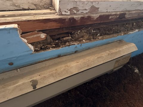 Photo Jan 09 2026, 8 15 16 AM