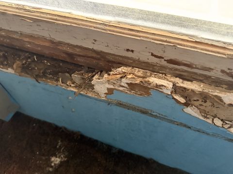 Photo Jan 09 2026, 8 15 20 AM (1)