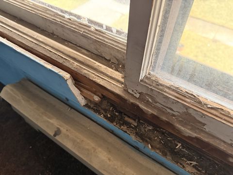 Photo Jan 09 2026, 8 15 23 AM