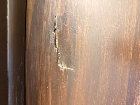 Photo Jan 15 2026, 10 52 58 AM (1)