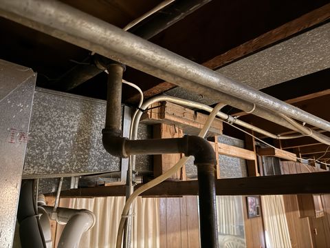 Photo Jan 15 2026, 10 56 10 AM (1)