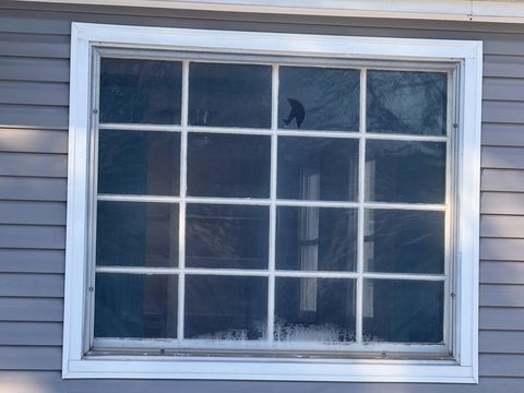 Photo Jan 15 2026, 9 02 38 AM