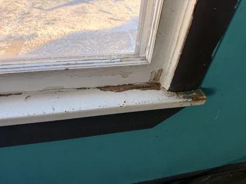 Photo Jan 15 2026, 9 05 18 AM