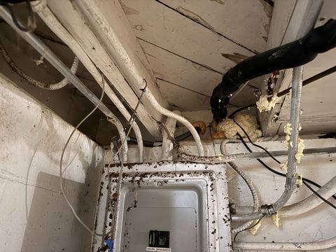 Photo Jan 15 2026, 9 08 36 AM