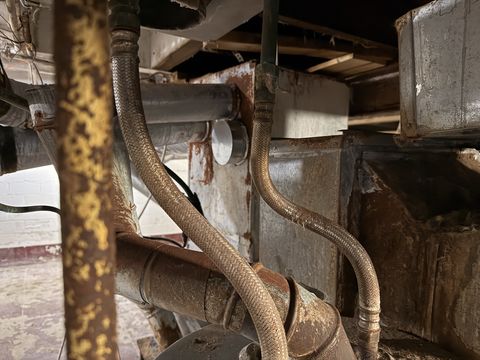 Photo Jan 15 2026, 9 08 56 AM