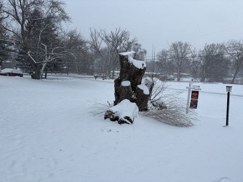 Photo Jan 16 2026, 8 46 12 AM