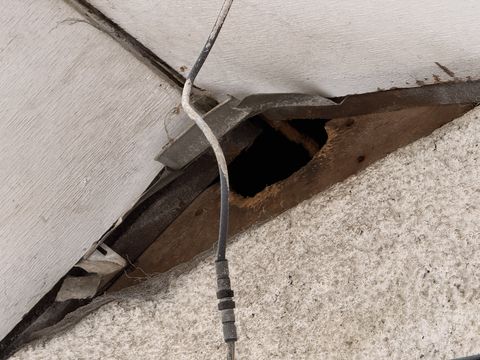 Photo Jan 22 2026, 9 48 16 AM