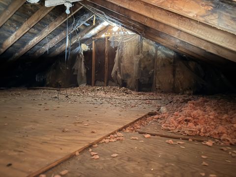 Photo Jan 22 2026, 9 49 42 AM