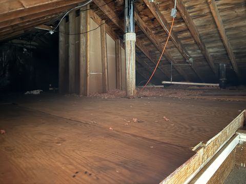 Photo Jan 22 2026, 9 50 06 AM