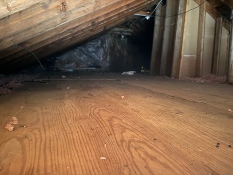 Photo Jan 22 2026, 9 50 12 AM