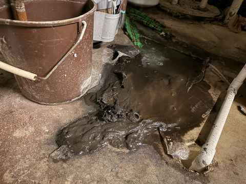 Photo Jan 26 2026, 11 10 42 AM